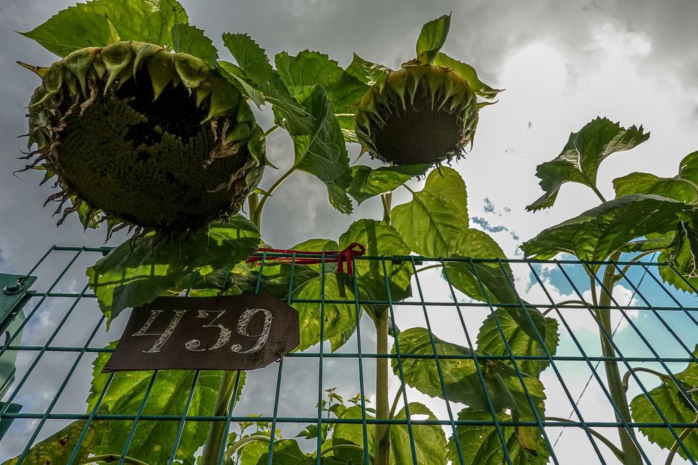 Фотография автора Екатерина Першина