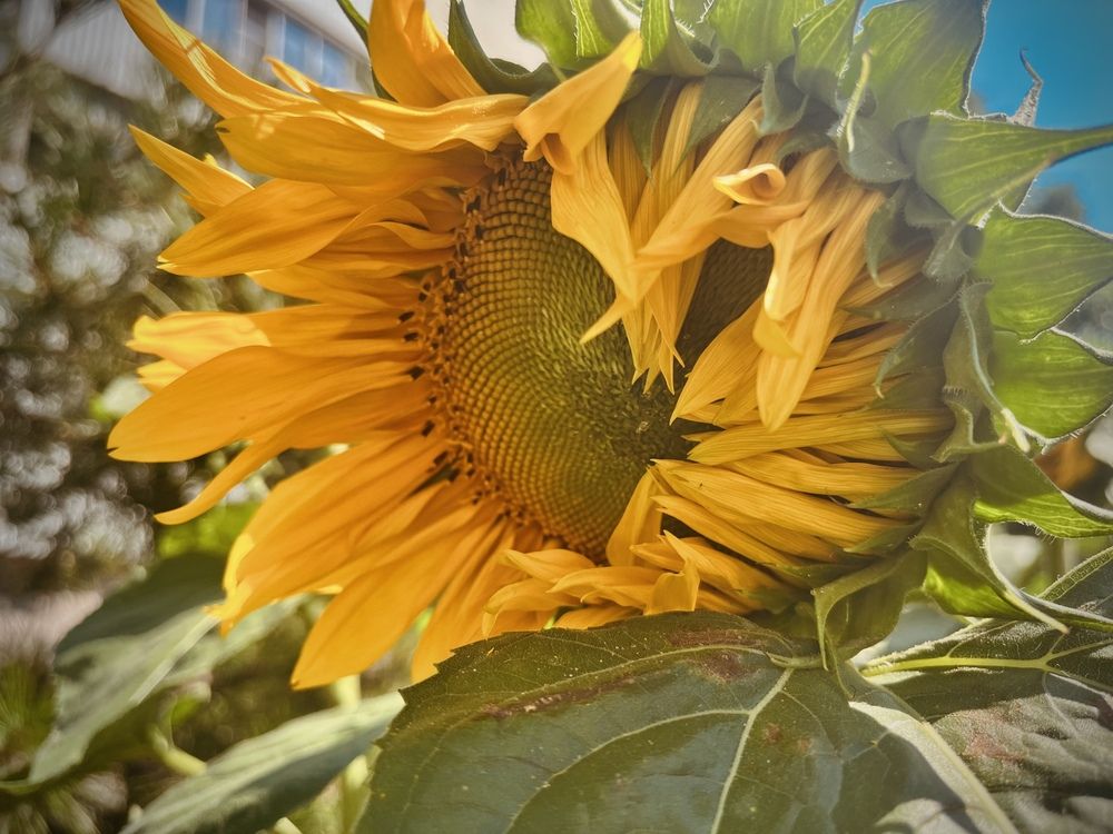 Photograph by Олеся Старицкая