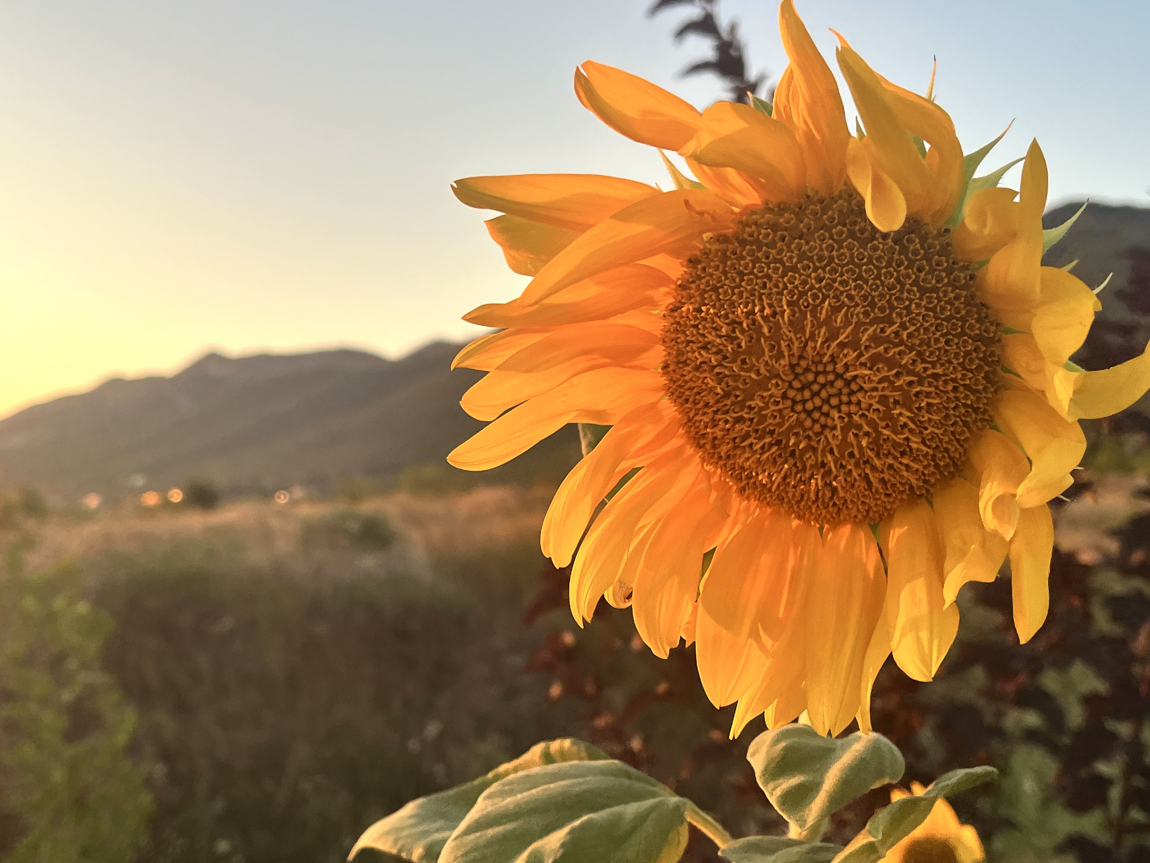 Photograph by Олеся Старицкая