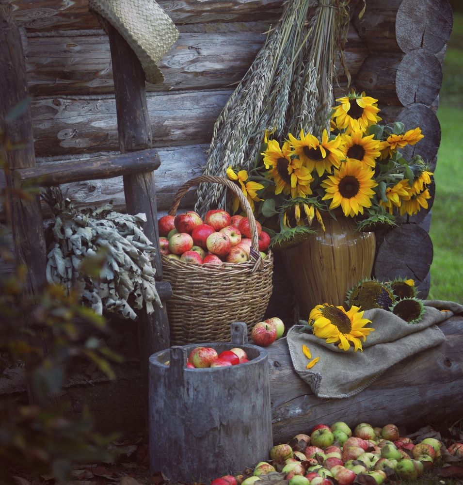 Photograph by Ольга