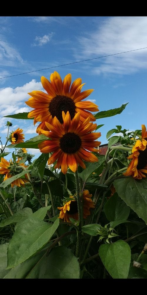 Photograph by Наталья