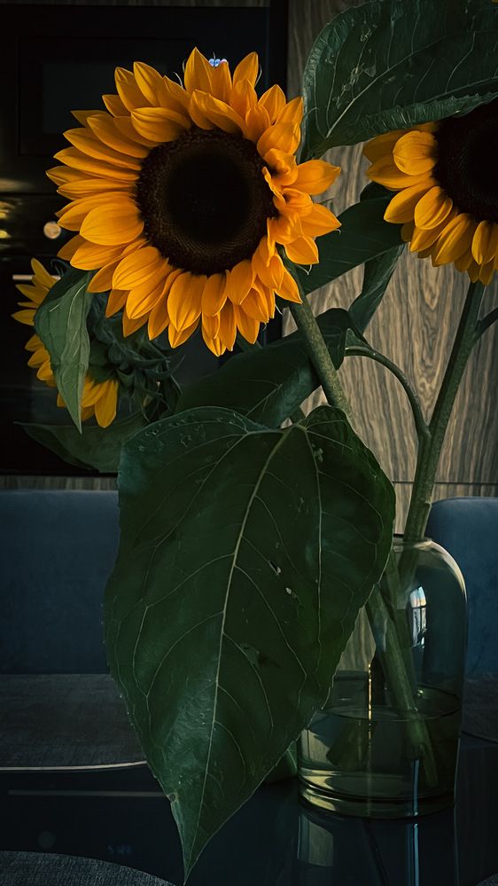 Photograph by Ольга Дорошенко