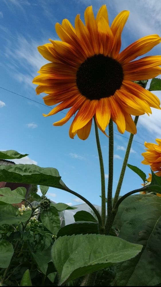 Photograph by Наталья