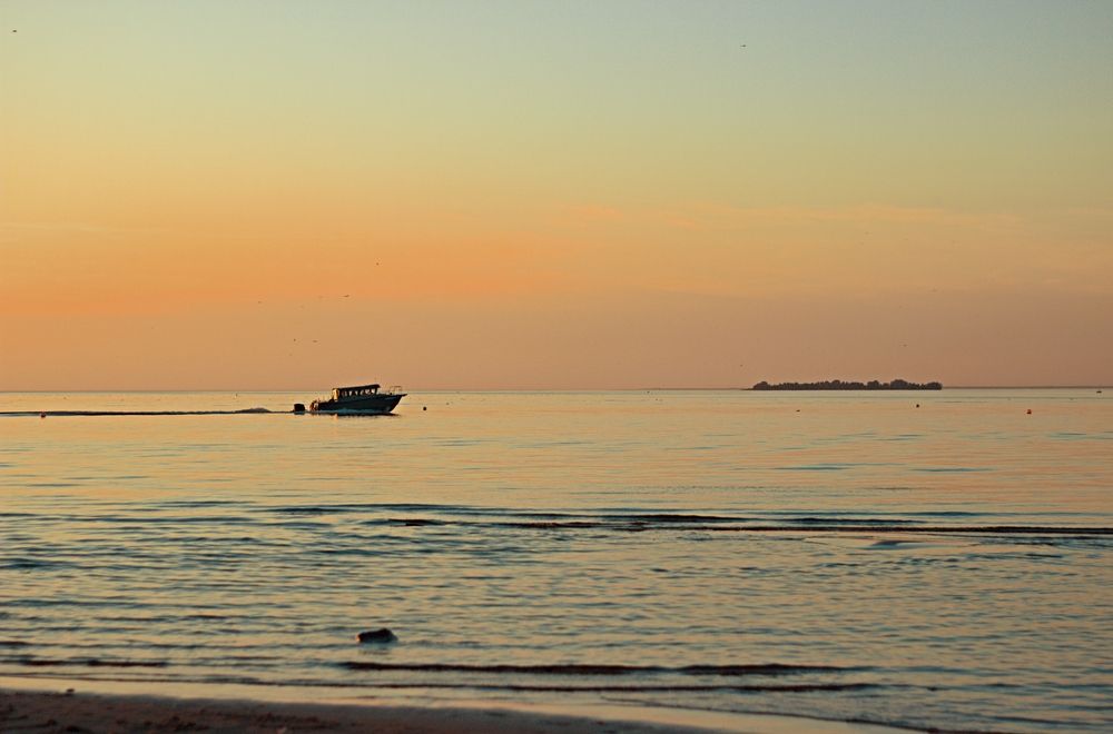 Photograph by Елена Казакова