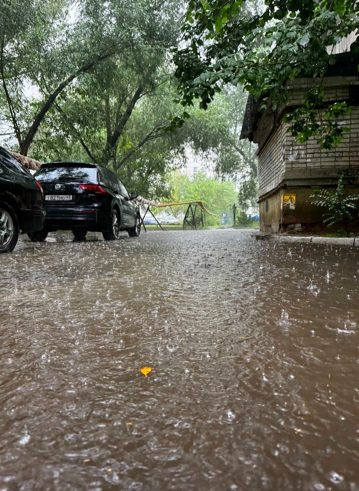 Photograph by Сергей Хранитель