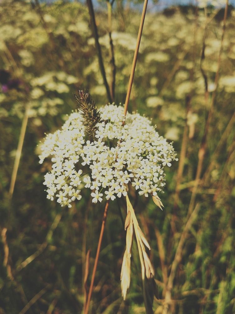 Photograph by Екатерина