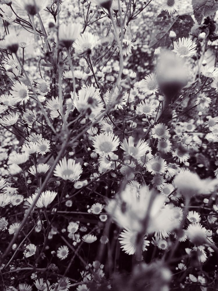 Photograph by Екатерина