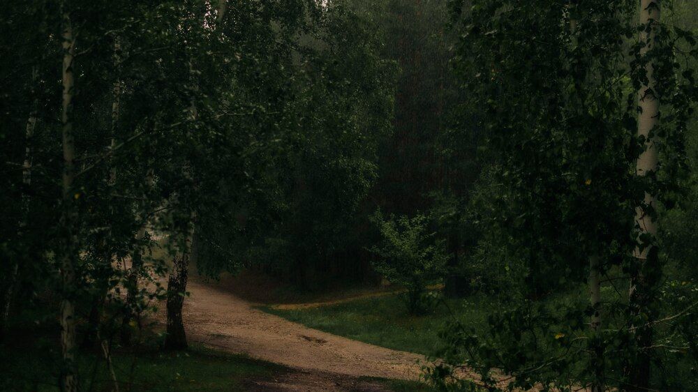 Photograph by Катерина Гущина