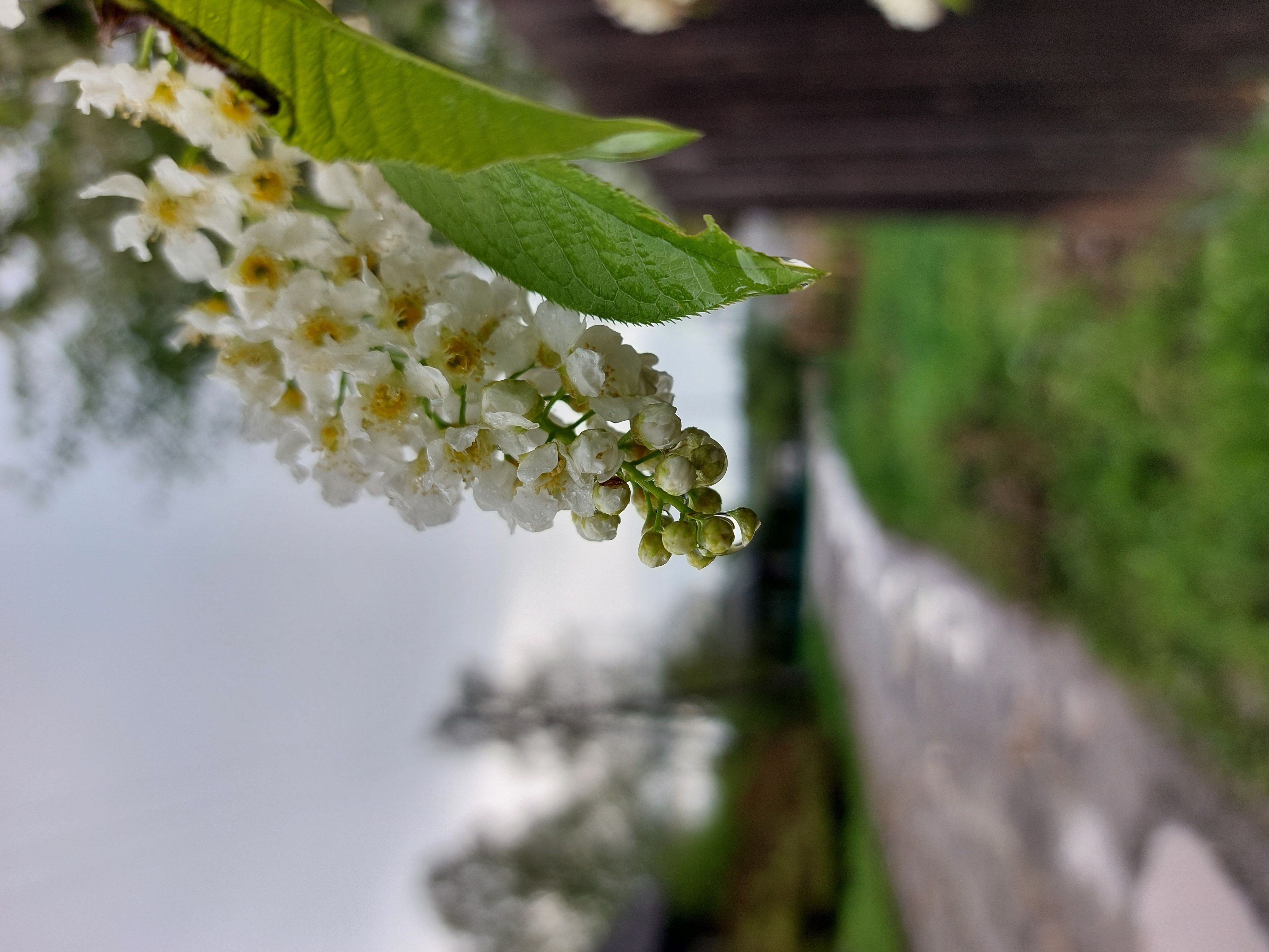 Photograph by Алёна Анфимова