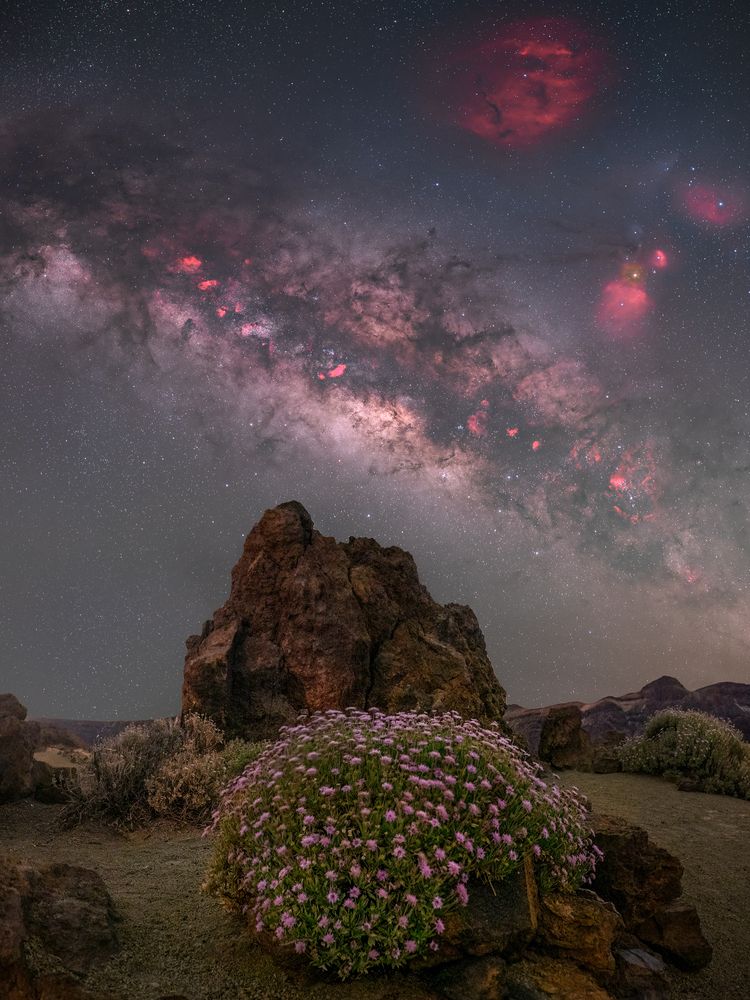 When stars and earth blossom