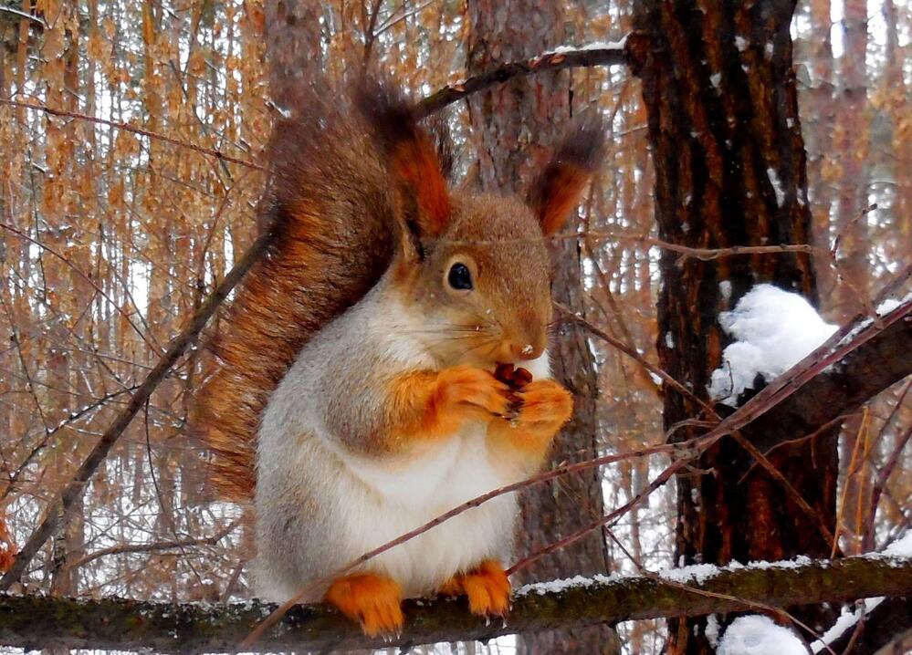 Photograph by Павел Попов