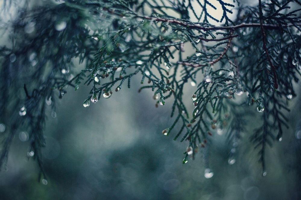 Photograph by Magic Helios