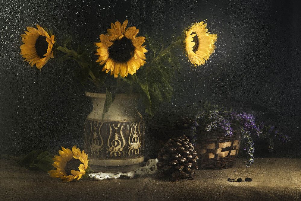 Photograph by Солодар Виктория