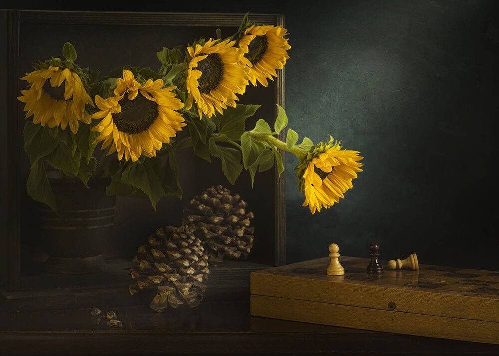 Photograph by Солодар Виктория