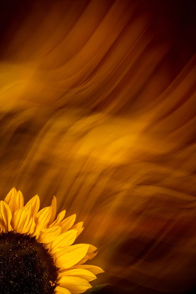 Photograph by Anna Viaznikova