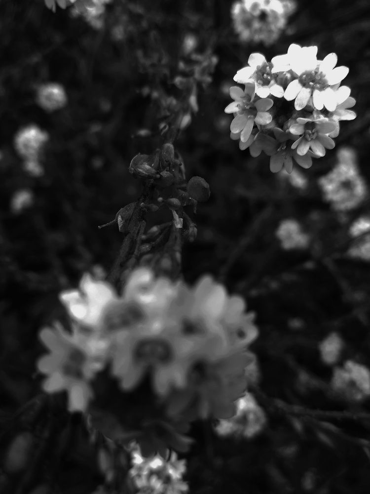 Photograph by Екатерина