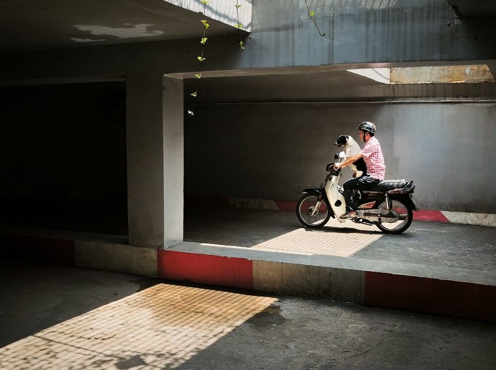 Photograph by Hai Nguyen Van