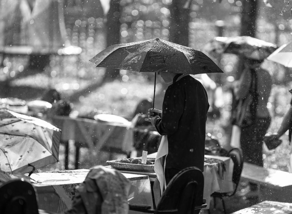 Фотография автора Александр Дюльгер