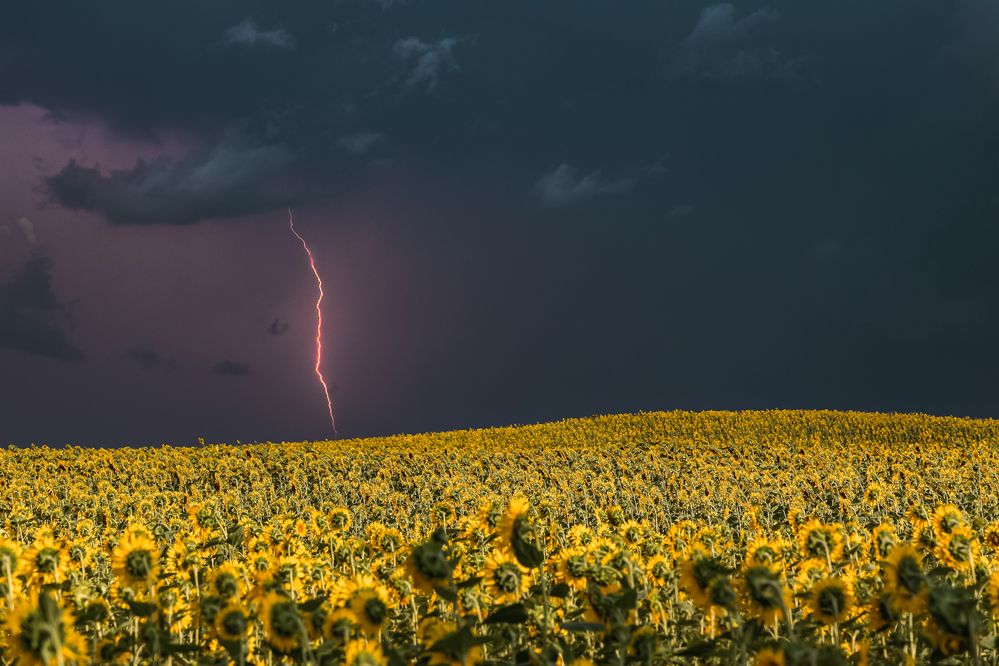 Photograph by Egor Ugrof