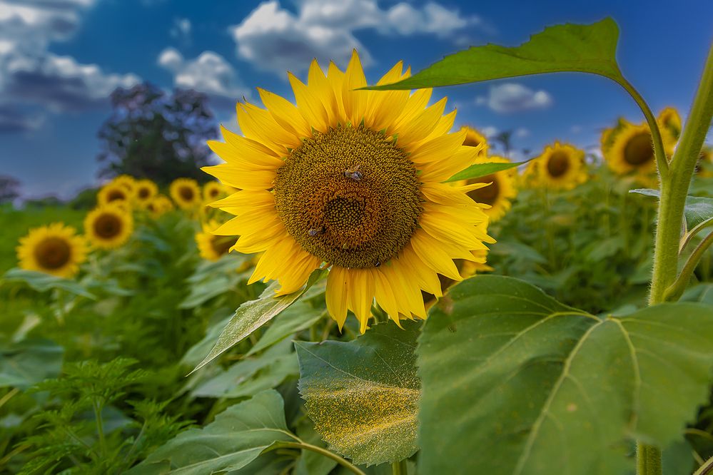 Photograph by Egor Ugrof