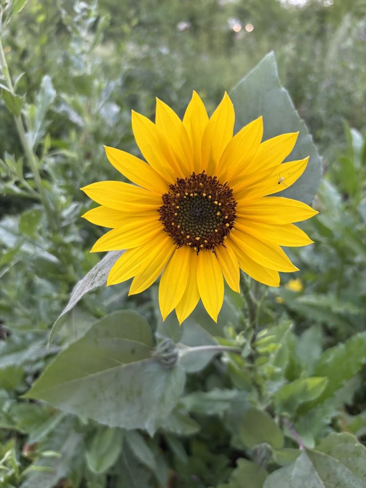 Photograph by Елена Новикова