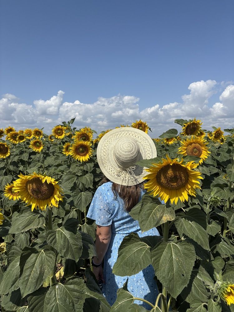 Photograph by Елена Новикова