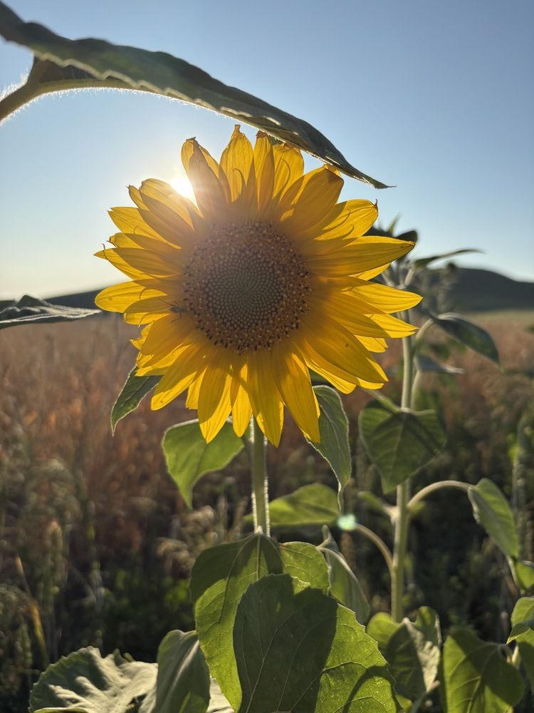 Photograph by Елена Новикова