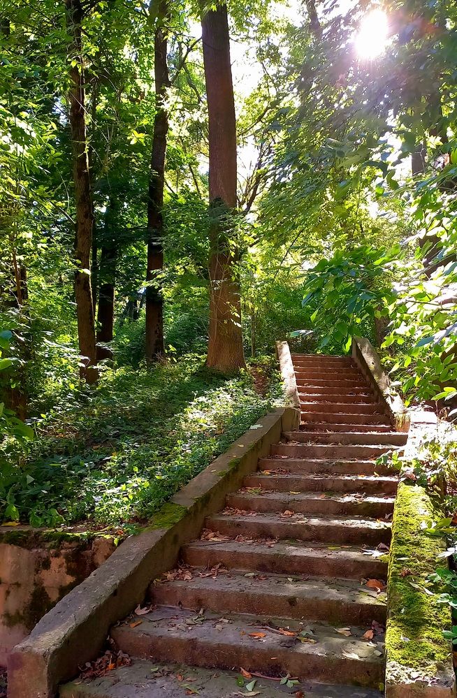 Photograph by Елена Шерман