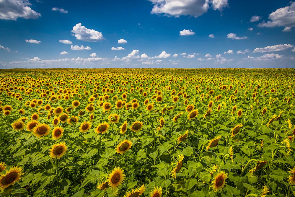 Photograph by Egor Ugrof