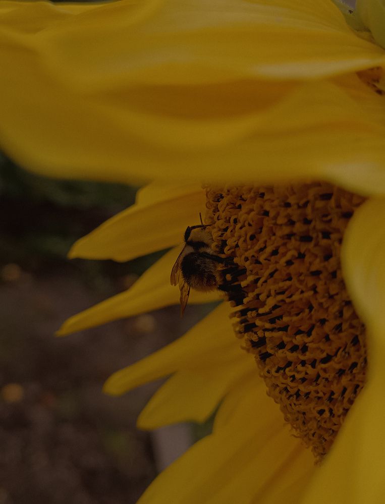 Фотография автора Ольга Кунакова