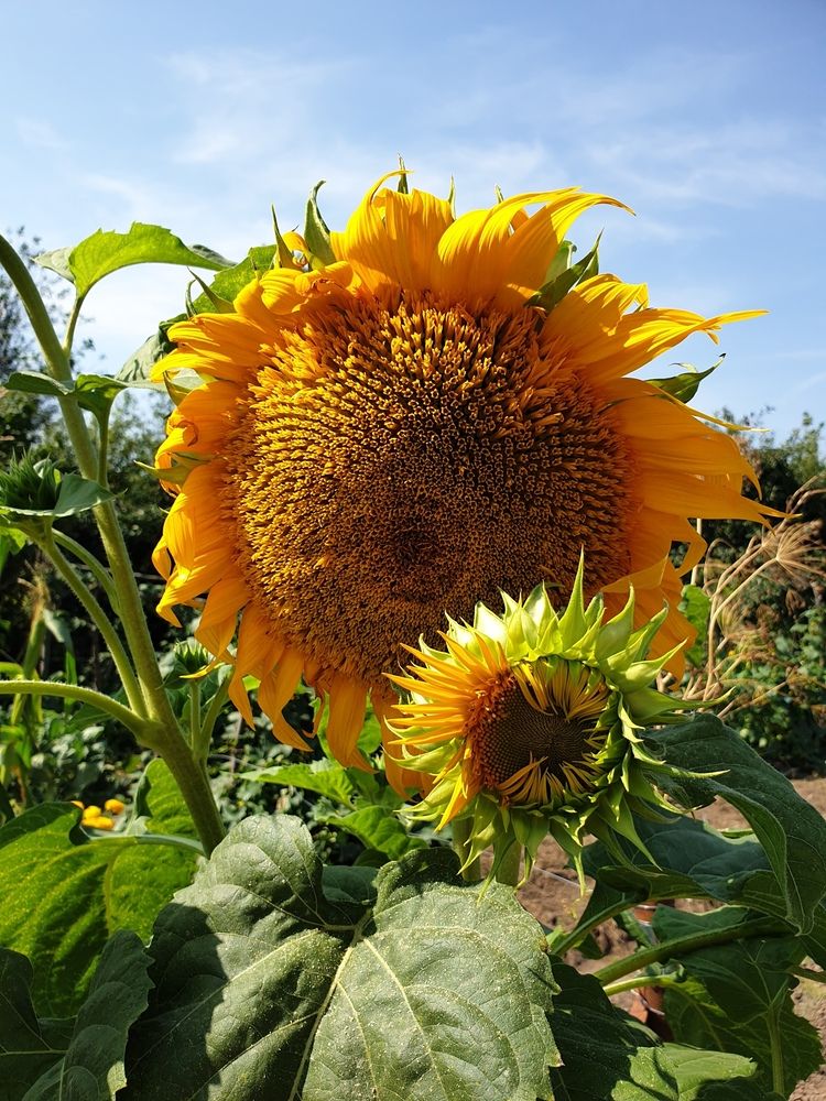 Photograph by Марина