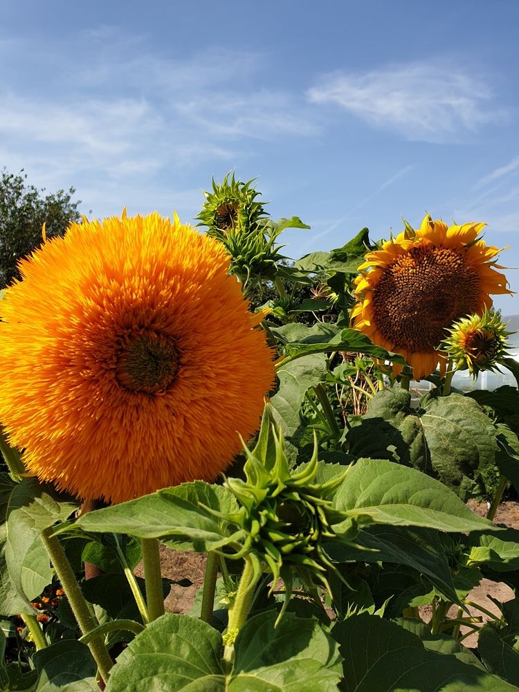 Photograph by Марина