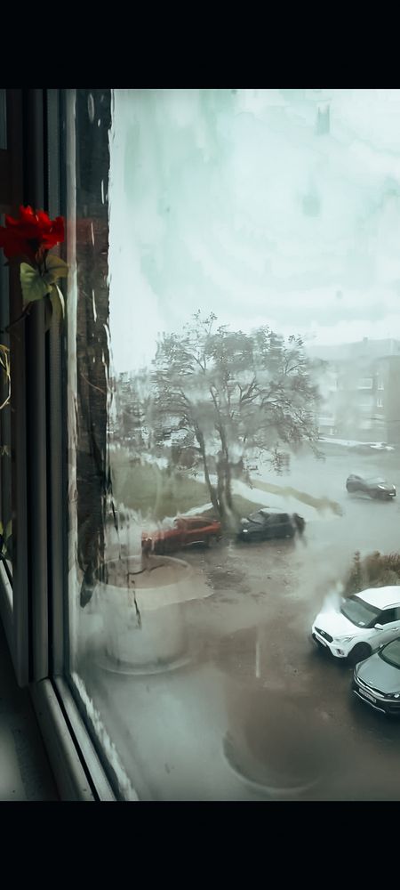 Фотография автора Ольга Кунакова