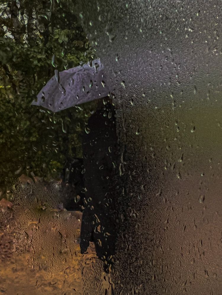 Photograph by Елена Данченко