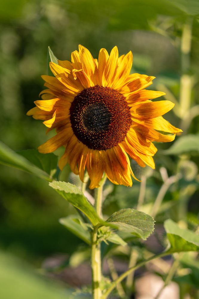 Photograph by Анна Яковлева