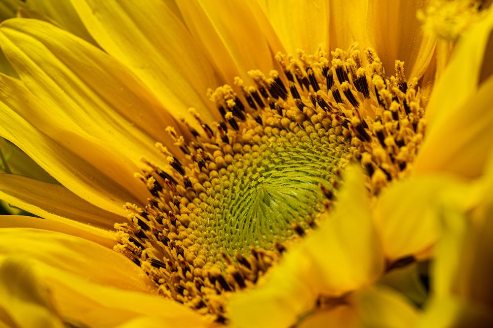 Photograph by Дмитрий Давидов