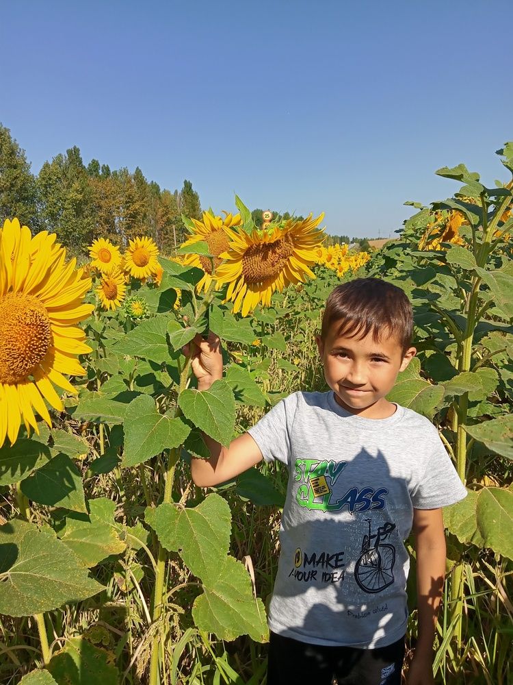 Photograph by Ольга Сергеева