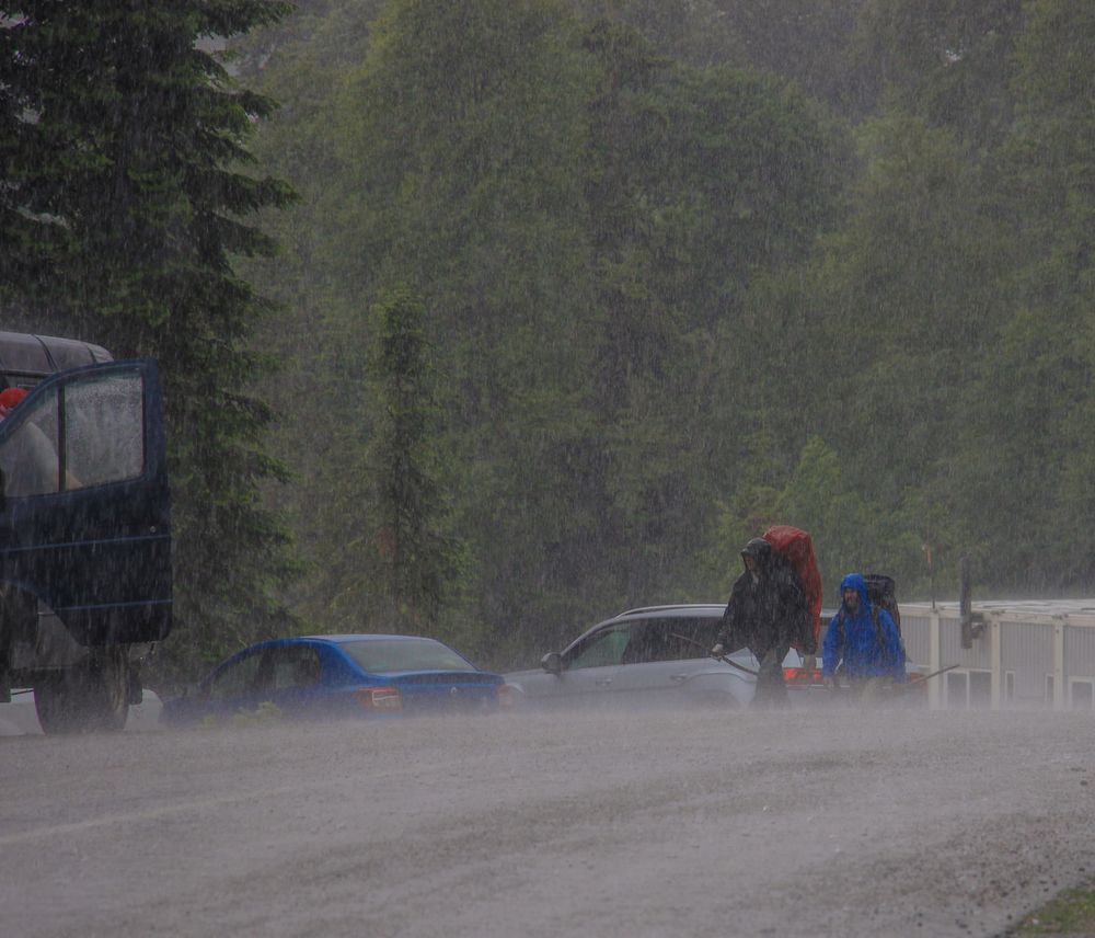 Фотография автора Татьяна Сергиенко
