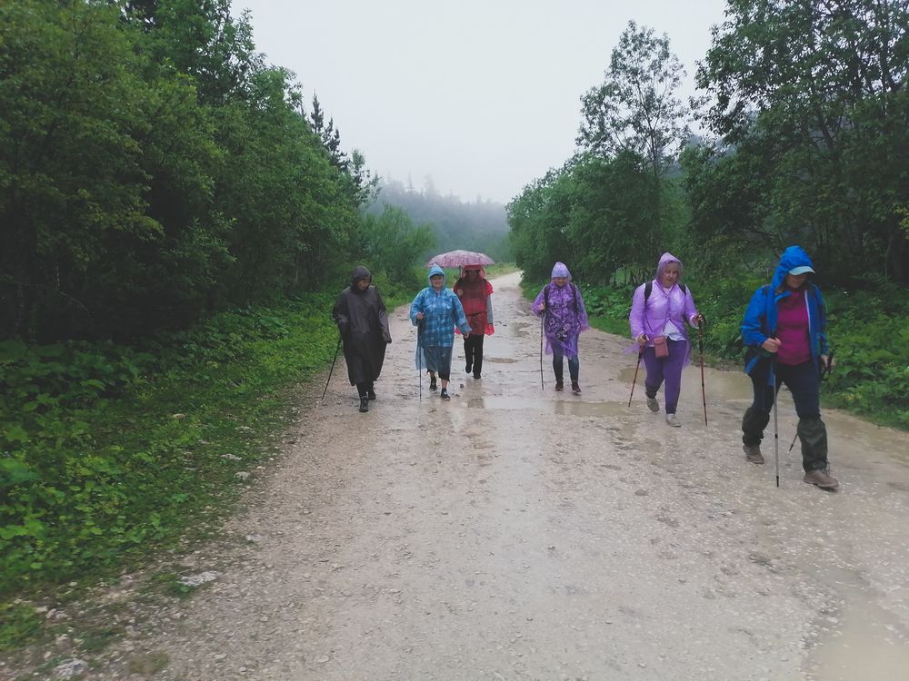 Фотография автора Татьяна Сергиенко