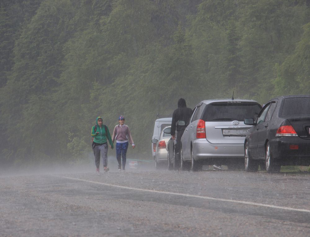 Фотография автора Татьяна Сергиенко