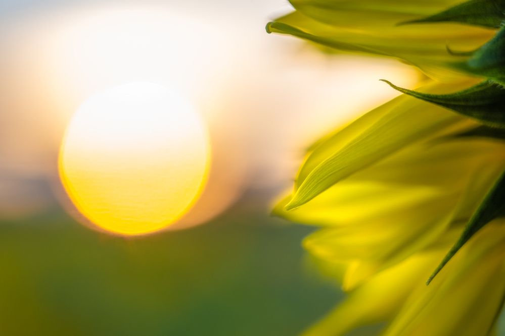 Photograph by Bojan Rupnik