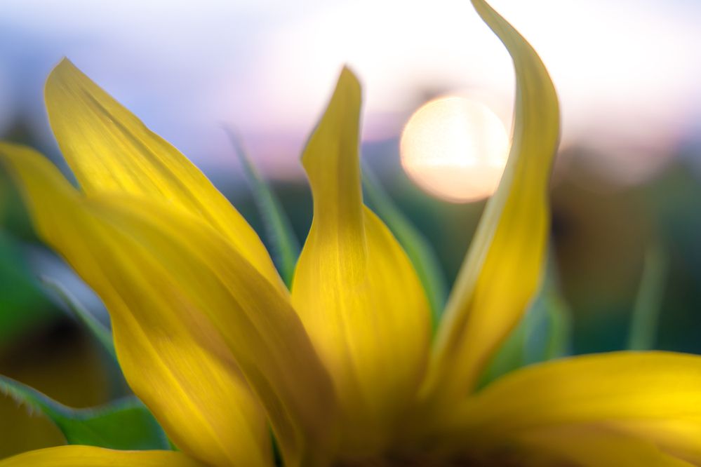 Photograph by Bojan Rupnik