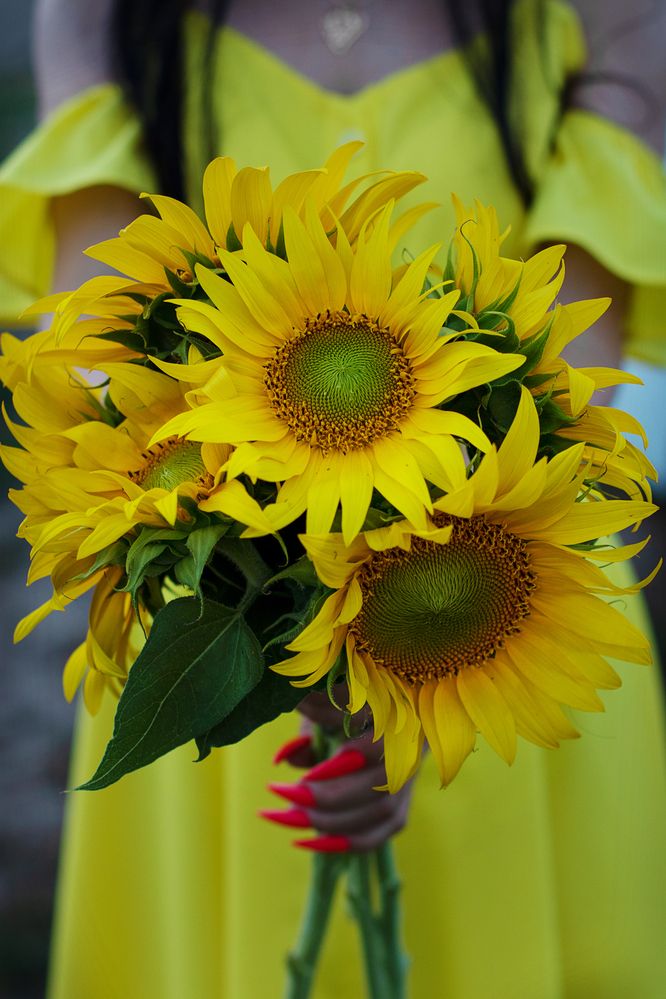 Photograph by Надежда Ржевская