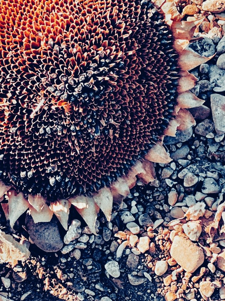 Photograph by Валерия Ленуар