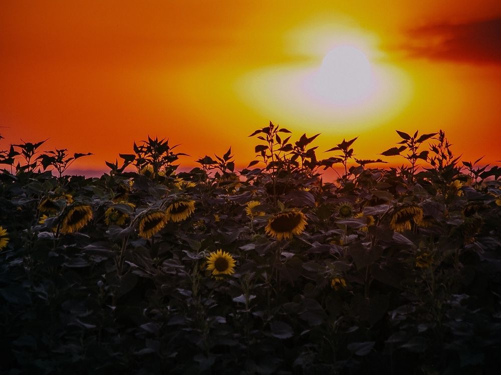 Фотография автора Елена Чиликина