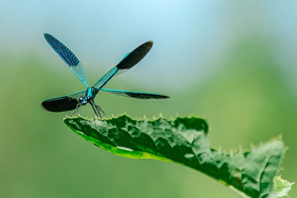 Фотография автора Елена Чиликина
