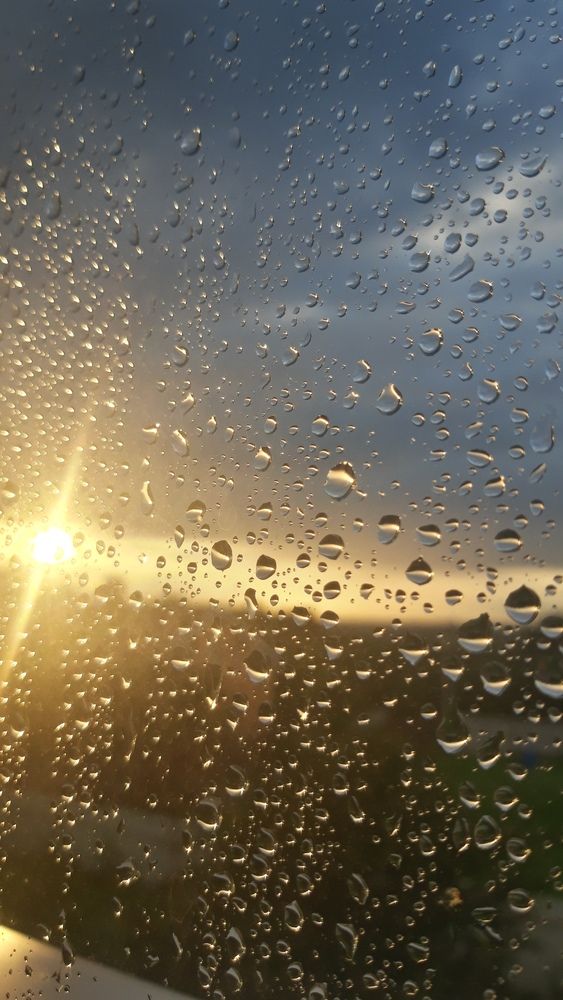 Фотография автора Елена Солодовникова