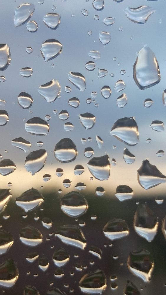 Фотография автора Елена Солодовникова