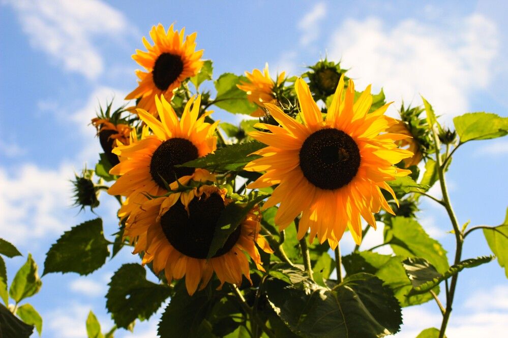 Photograph by Maciej Morgiel