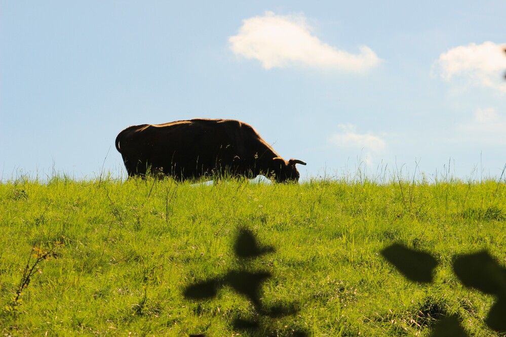 Photograph by Maciej Morgiel